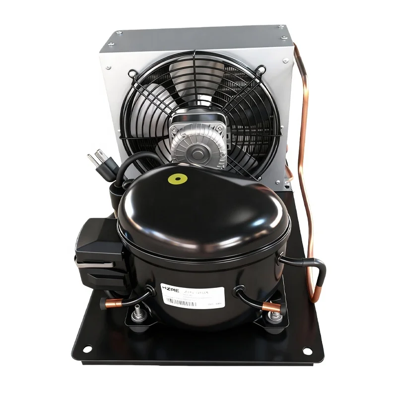 Condensing Unit, NT6220Z, 220V, R134A, 20-+5 - detail 2