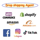 Shopify AliExpress E-commerce Independent Station Product Agent Fulfillment Services Dropshipping UK