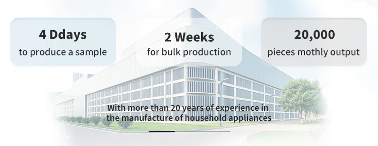 12L/Min 24KW Instant Gas Water Heater with Forced Exhaust and 1 Year Warranty