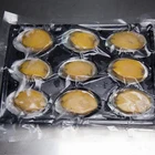 Ablone Abalone Abalone Competitive Price Fresh Frozen Ablone Seafood Abalone Frozen Green Abalone