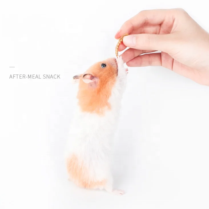 pet food bird food