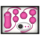 Amazon Hot Sale Medical Silicone Ben Wa Vaginal Vagina Kegel Balls Set