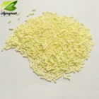 Pesticides Pesticides New Product Pesticides Insecticide Nitenpyram 97%TC 60%WP 50%SG 50%SP 20%WDG 10% SL