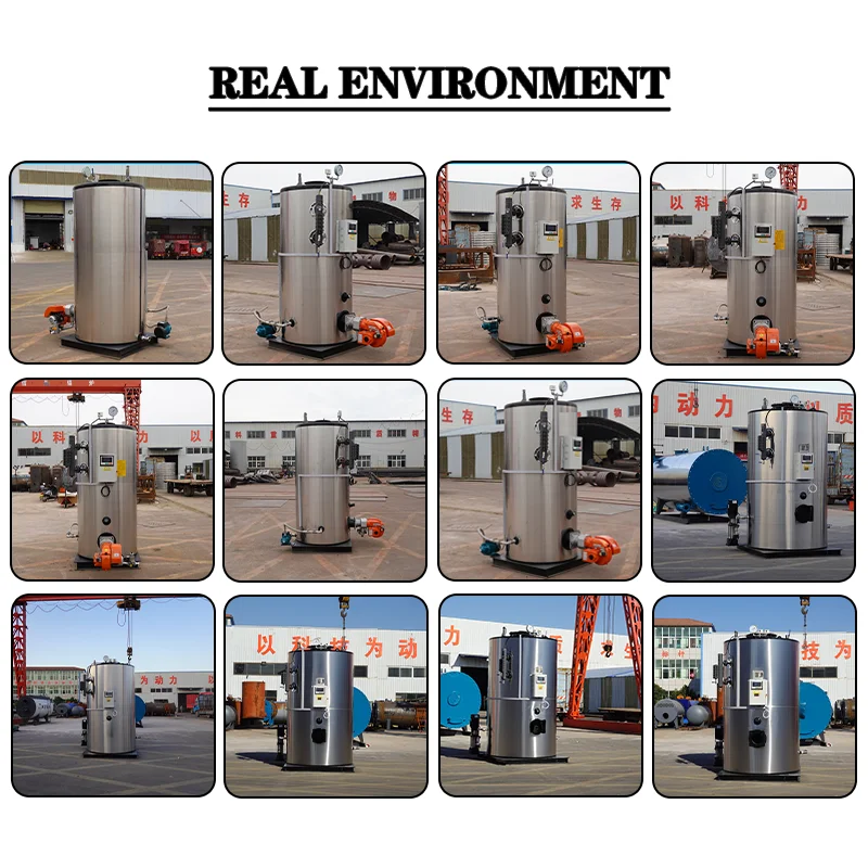 Steam Boiler, 200kg, 300kg, 500kg, 1000kg - detail 10
