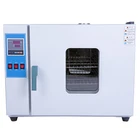 Industrial Good Price Laboratory Industrial Dry Heat Oven Welding Electrode/Fruit Drying Oven