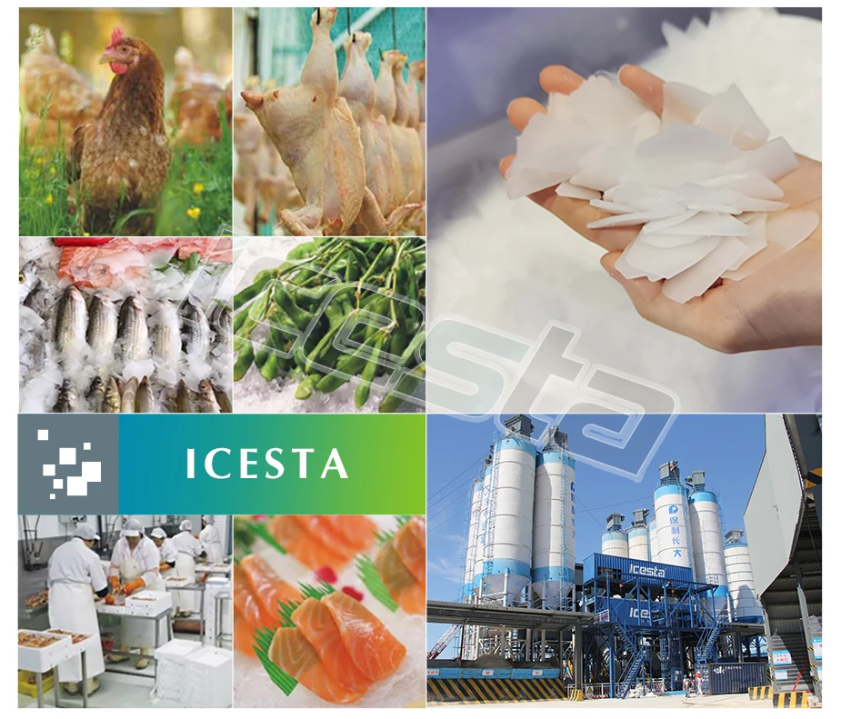 Ice Machine, ICESTA, 1T, 2T, 5T - detail 20