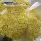 Flower To Preserved Hydrangea Wholesale Coloful Preserved Hydrangea Dried Artificial Flower To Florist
