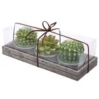 Candles Wedding Handmade Delicate Succulent Cactus Candles For Birthday Party Wedding Spa Home Decoration