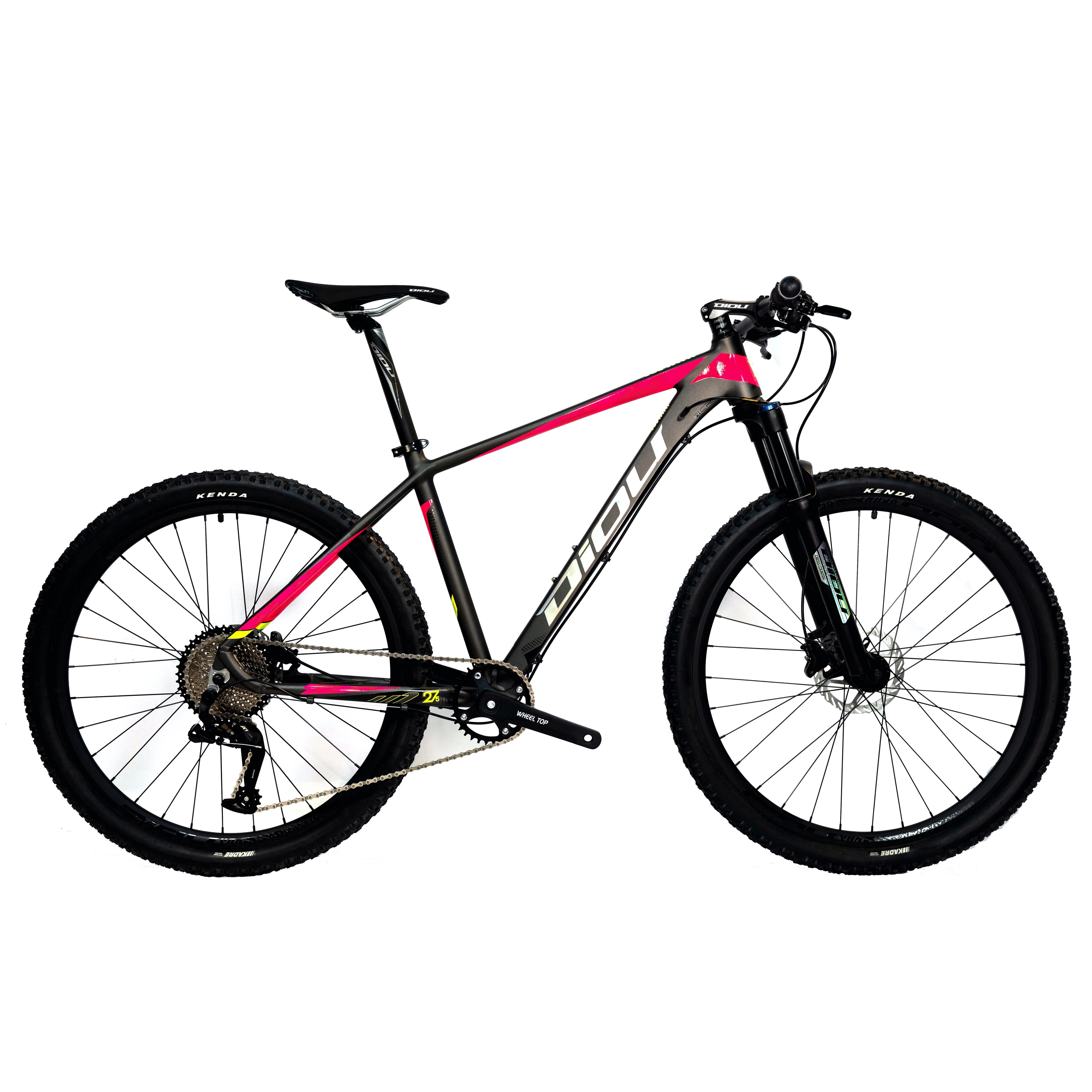 Aluminum Alloy Mountain Bike 