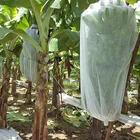 Banana Nonwoven Fabric Fruit Cover Bag Non Woven Fabric For Plant Protective Bag Banana Plant Protection Cover