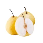 Pear For 2021 New Crop Of Fresh China Asian Pear For Sale With Ya Pear