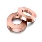 Copper High Quality Phosphor Bronze C5210 C5191 Phosphor Copper Strip