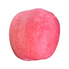 Fuji Apple Fruit Wholesale High Quality Irani Fresh Fuji Apple Fruit Export Price