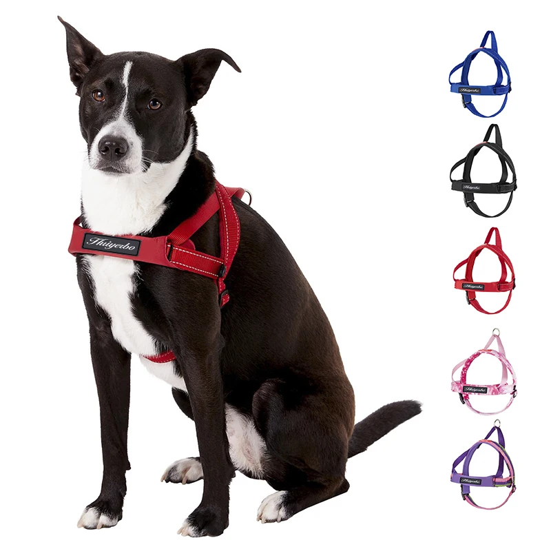 Where Does A Dog Step In Harness Clip