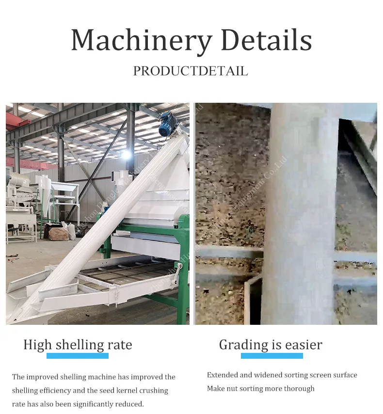High Efficiency Pumpkin Seed Shelling Machine / Automatic Seed Peeling and Husk Removal Equipment supplier