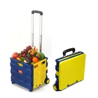 Car Wholesale Collapsible Pull Trolley For Market Car