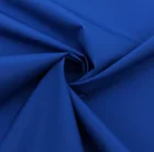 Low MOQ 35D 100%Polyester 65GSM Matte Woven Stocklot Fabric For Winter Jacket Down Coat Cotton-Padded Jacket