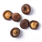 Chips Professional Manufacture Of Vacuum Fried Shiitake Mushroom Chips With BRC HALAL KOSHER HACCP CERTIFICATE