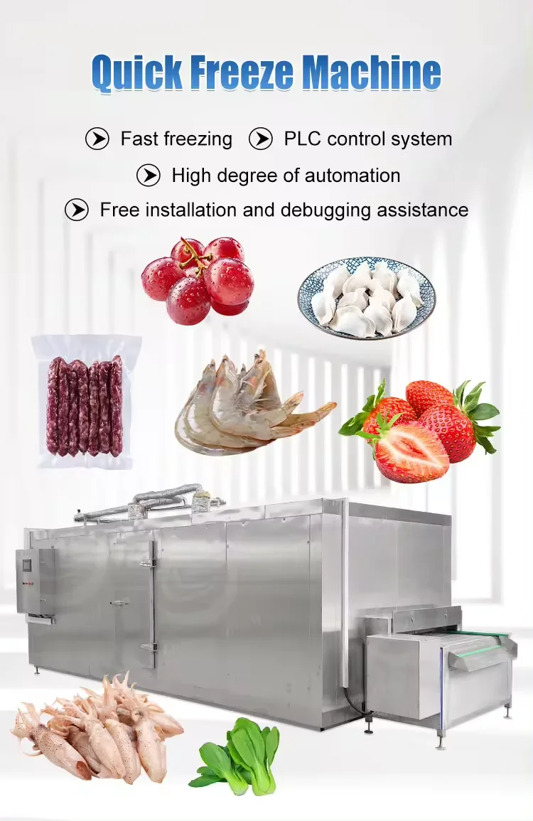 Instant Freeze Fast Freezer, 100kg, Tunnel Freezer - detail 4