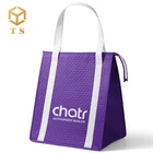 Cooler Bag 2021 Wholesale Custom Logo Waterproof Small Insulated Thermal Food Delivery Picnic Cooler Bag