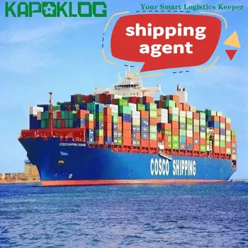 Top Sale Kapoklog Logistics Door to Door Shipping Agent China to India/Philippines/South Korea/Bangladesh/Singapore/Sri Lanka