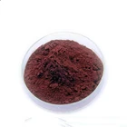 Natural Competitive Price Good Natural Antioxidants High Quality Health Additive Of Grape Seed Extract OPC