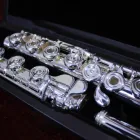 Items New Hot Items Musical Instrument Flute Suppliers Alto Silver-plated Key Flute