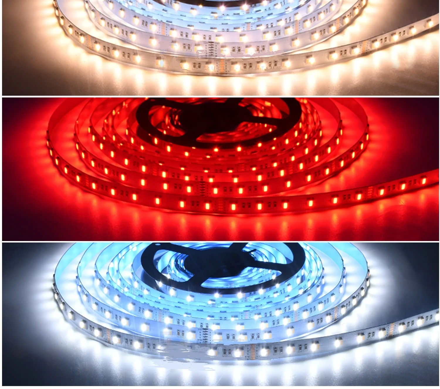 24V RGBWW 5050 LED Strip Lights - 5-in-1 Rainbow Chasing Effect, Low Voltage Engineering Lighting