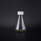 Lab Lab Medical Test Chemical 500ml Reagent Bottle Screw Cover Factory Supply Conical Flask Consumables