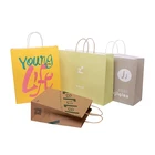 Gift Bag Gift Shopping Bags Custom Branded Logo Printed Gift Shopping Bag With Twisted Handles