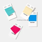Pantone PANTONE Color Card Colour Color Chart FFS200 Polyester Swatch Book
