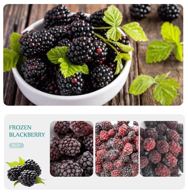 Wholesale Price Bulk 10kg Frozen Blackberries IQF Frozen Blackberry Fruits factory
