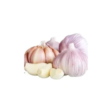 2023 New Season Fresh Liliaceous vegetable Import Garlic With Good Taste