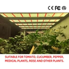 Led Led Plant Light Led Greenhouse Indoor Garden Plant Light Veg And Bloom 640W Full Spectrum LED Grow Light Hydroponic
