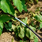 Hot Selling Fiber Glass Stakes For Plants Garden Stakes Fiber Glass Fiber Glass Stake