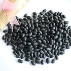 Bean Kidney Beans Black Kidney Bean Black Bean Kidney Bean With Best Price