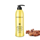Shampoo Argan Shampoo High Quality Private Label Sulfate Free Organic Argan Oil Nourishing Hair Shampoo And Conditioner