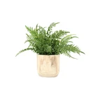 Natural Wood Potted Fern Grass Potted Artificial Fern Green Ornamental Plants Interior Artificial Indoor Plastic Plant