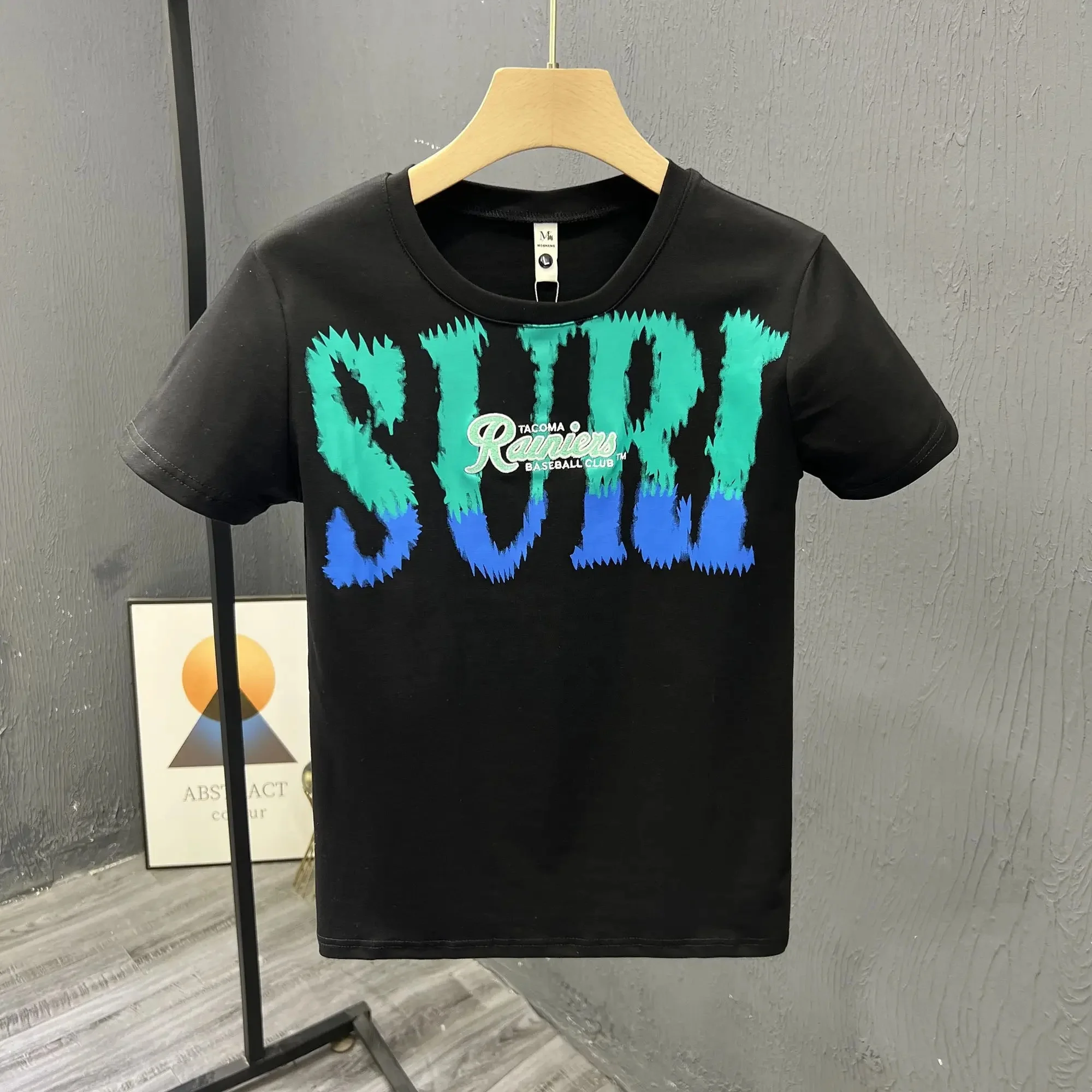 High Quality Heavy Weight Plain Oversized Tshirt Printing Embroidery Custom Blank 100 Cotton Men T Shirt