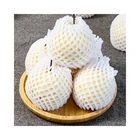 Pears Pearpear Popular Juicy Fresh Pears With High Nutritional Value