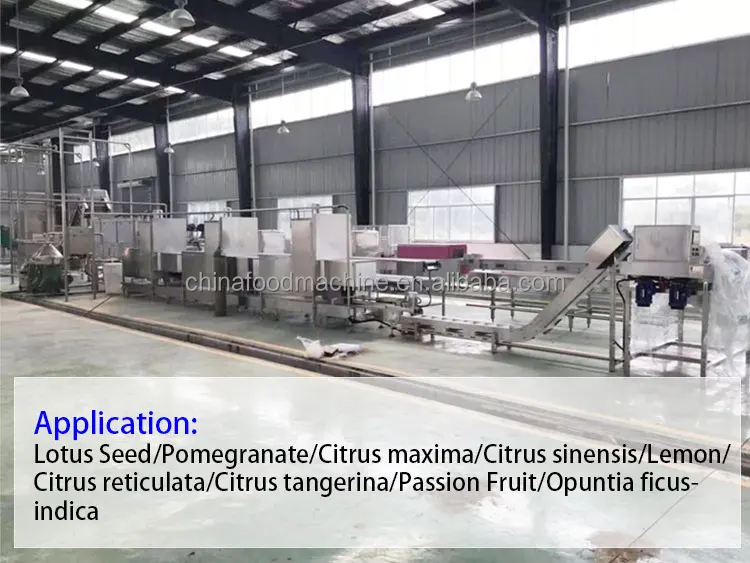 Lotus Seeds Skin Removing Passion Fruit Making Peeling Juice Machine Processing Line Pomegranate Peeler Machine manufacture