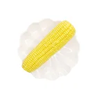 Bulk Sweet New Crop Yellow Corn from Worldwide Supplier