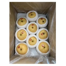 New Season Fresh Fruit Fengshui Pear Golden Pear With Good Taste