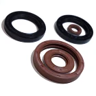 Stem Rings Wholesale PTFE Gaskets PTFE O-rings Stem Seals Glyy Rings Guide Rings
