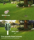 Animal 2022 New Arrival 360degree Detective Upgraded Animal Repellent Birds Dog Cat Pigeon Repeller For Farm Orchard