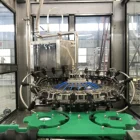 Full-Automatic Wine Liquor Bottle Filling Machine/Filler