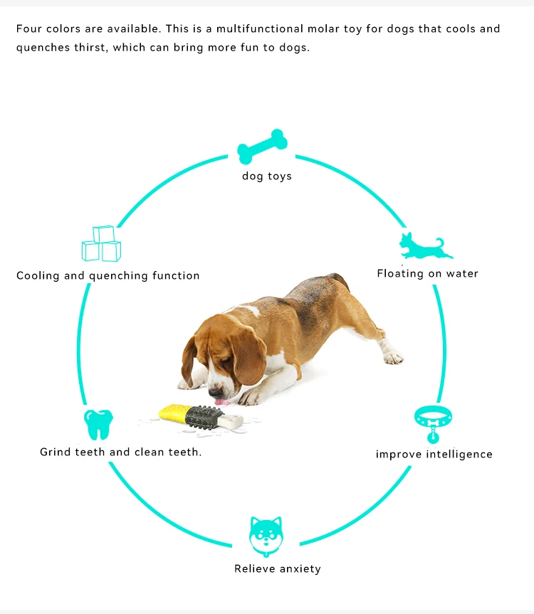 AZ Hot Selling Chew Chew Dog Toys Clean Teeth and Bite Resistant Toys That Have a Cooling Sensation in Summer Pet Products manufacture