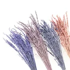 Lavender Lavender Flowers Decorative Flowers Preserved Lavender Flower Stabilized Lavender