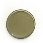 Enzyme Detergent Powder Protease Enzyme Activity