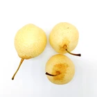 Pears Fresh Pearfresh 2020 New Hot Selling Ya Pears Fresh Pears From China For 2020